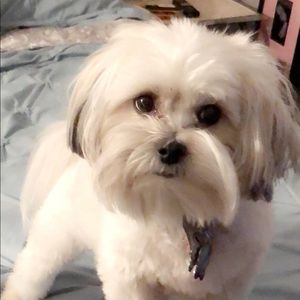 Meet your Posher, Davina